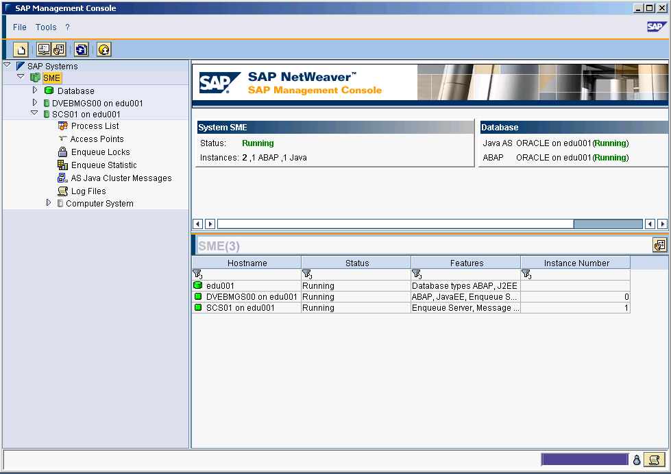 Сап приветствие. SAP R/3 программное обеспечение. SAP ERP Интерфейс программы. Система учета SAP что это. Складская программа SAP.