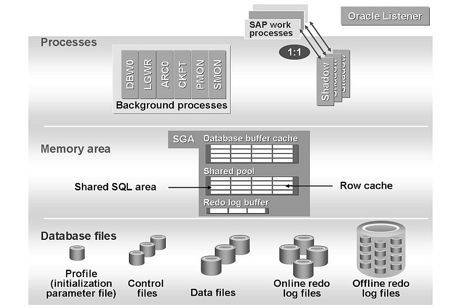 Oracle database структура. Oracle database Architecture. Oracle архитектура базы данных. Файлы базы данных Oracle.